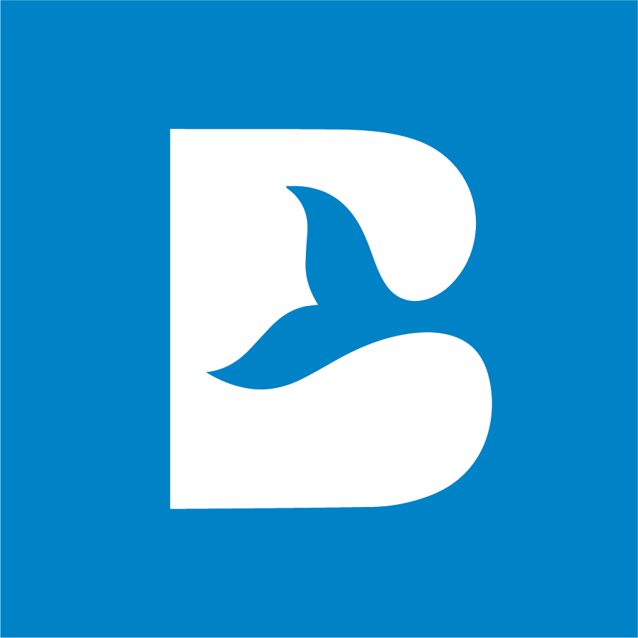 비웨일즈